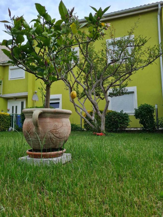 Green House Villa Pula
